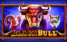 Black Bull